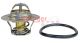 METZGER Thermostat, Kühlmittel 4006101