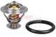 METZGER Thermostat, Kühlmittel 4006391