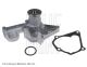 BLUE PRINT Wasserpumpe, Motorkühlung ADC49109