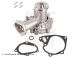 BLUE PRINT Wasserpumpe, Motorkühlung ADC49168