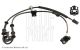 BLUE PRINT Sensor, Raddrehzahl ADG071114