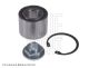 BLUE PRINT Radlagersatz ADJ138303