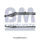 BM Catalysts Katalysator BM80341H