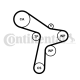 CONTINENTAL CTAM Wasserpumpe + Zahnriemensatz CT1168WP7
