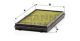 MANN-FILTER Filter, Innenraumluft FP 3124-2