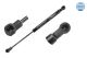 MEYLE Gasfeder, Koffer-/Laderaum 040 910 0020