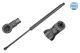 MEYLE Gasfeder, Koffer-/Laderaum 11-40 910 0002