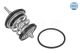 MEYLE Thermostat, Kühlmittel 128 228 0016