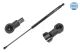 MEYLE Gasfeder, Koffer-/Laderaum 16-40 910 0006
