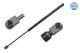 MEYLE Gasfeder, Koffer-/Laderaum 16-40 910 0017