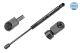 MEYLE Gasfeder, Koffer-/Laderaum 16-40 910 0027