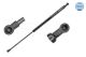 MEYLE Gasfeder, Koffer-/Laderaum 16-40 910 0028
