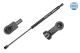 MEYLE Gasfeder, Koffer-/Laderaum 240 910 0023