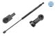 MEYLE Gasfeder, Koffer-/Laderaum 30-40 910 0031