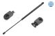 MEYLE Gasfeder, Koffer-/Laderaum 32-40 910 0009
