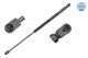 MEYLE Gasfeder, Koffer-/Laderaum 32-40 910 0017