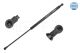 MEYLE Gasfeder, Koffer-/Laderaum 36-40 910 0007