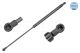 MEYLE Gasfeder, Koffer-/Laderaum 36-40 910 0020