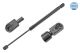 MEYLE Gasfeder, Koffer-/Laderaum 37-40 910 0022