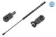 MEYLE Gasfeder, Koffer-/Laderaum 40-40 910 0020