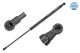 MEYLE Gasfeder, Koffer-/Laderaum 40-40 910 0022