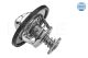 MEYLE Thermostat, Kühlmittel 628 228 0005