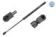 MEYLE Gasfeder, Koffer-/Laderaum 640 910 0001