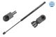 MEYLE Gasfeder, Koffer-/Laderaum 640 910 0007