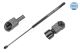 MEYLE Gasfeder, Motorhaube 640 910 0013