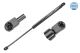MEYLE Gasfeder, Koffer-/Laderaum 640 910 0015
