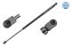 MEYLE Gasfeder, Koffer-/Laderaum 740 910 0012
