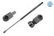 MEYLE Gasfeder, Koffer-/Laderaum 740 910 0018