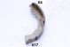 JAPANPARTS Bremsbackensatz GF-617AF