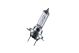 ams-OSRAM Glühlampe, Abbiegescheinwerfer 64210L