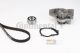 CONTINENTAL CTAM Wasserpumpe + Zahnriemensatz CT754WP1