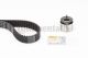 CONTINENTAL CTAM Zahnriemensatz CT910K1