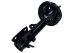 MAXGEAR Stoßdämpfer 11-0621