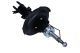 MAXGEAR Stoßdämpfer 11-0659