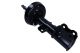 MAXGEAR Stoßdämpfer 11-0717