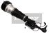 MAXGEAR Luftfederbein 11-0580