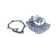 MAXGEAR Wasserpumpe, Motorkühlung 47-0256
