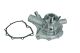 MAXGEAR Wasserpumpe, Motorkühlung 47-0223