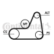 CONTINENTAL CTAM Keilrippenriemensatz 6PK1042 ELAST T1
