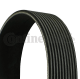 CONTINENTAL CTAM Keilrippenriemen 10PK1688