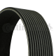 CONTINENTAL CTAM Keilrippenriemen 11PK2020