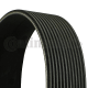 CONTINENTAL CTAM Keilrippenriemen 12PK1835