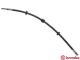 BREMBO Bremsschlauch T 85 031