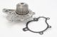 CONTINENTAL CTAM Wasserpumpe, Motorkühlung WP6099