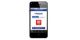 Webasto Thermo Call TC4